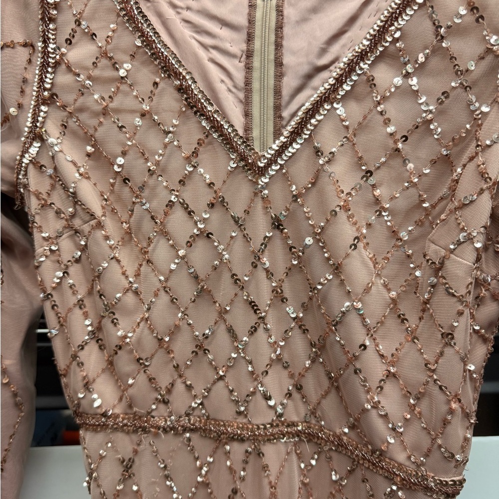 Adrianna Papell Rose Blush Beaded Long Sleeve Evening Gown - Picture 4 of 5